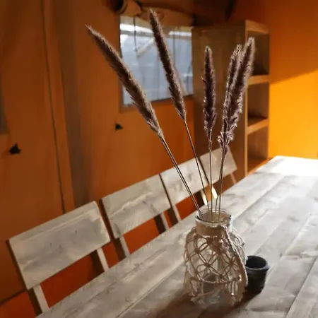 Glamping Stoere Safaritent Voor 7 Personen Met Privé Sanitair Sleepy *