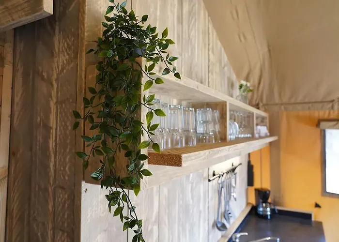 Stoere Safaritent Voor 7 Personen Met Privé Sanitair Sleepy * Behelp