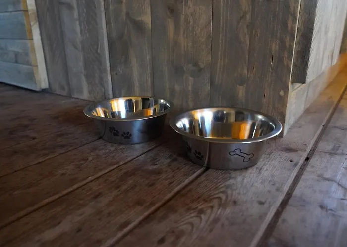 Glamping Stoere Safaritent Voor 7 Personen Met Privé Sanitair Sleepy Behelp